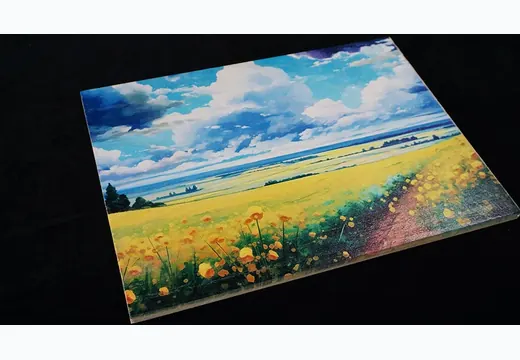 Art Print Printing UV printing sample